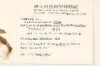 鼠麴舅藏品圖，第2張
