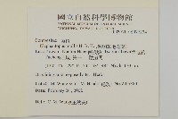 地膽草、毛蓮菜藏品圖，第2張