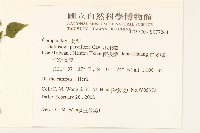 小米菊藏品圖，第2張