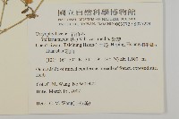 繁縷藏品圖，第2張