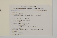 日本賽衛矛、日本假衛矛藏品圖，第2張