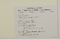 南仁山柃木藏品圖，第2張