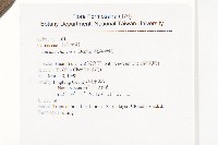 桃葉珊瑚藏品圖，第2張