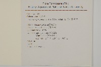 日本賽衛矛、日本假衛矛藏品圖，第2張