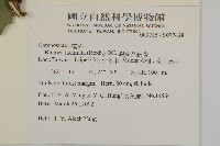 裂葉艾納香藏品圖，第2張