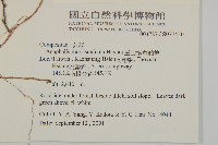 玉山抱莖籟簫藏品圖，第2張