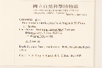 玉山蟹甲草藏品圖，第2張