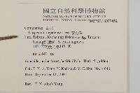 黃金珠藏品圖，第2張