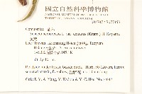 黃菀藏品圖，第2張