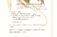 玉山黃菀藏品圖，第2張