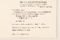 臺灣劉寄奴藏品圖，第2張