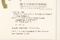 台灣升麻藏品圖，第3張