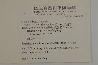 瓜槌草、漆姑草藏品圖，第2張