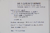 玉山山奶草藏品圖，第2張