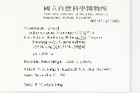 能高佛甲草藏品圖，第2張