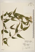 登錄號:S077482藏品圖，第1張