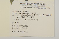 臺灣及己藏品圖，第2張