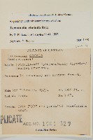 訶梨勒、訶子藏品圖，第2張