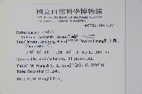 單子瓜、星瓜、刺果瓜藏品圖，第2張