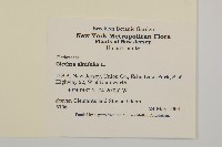 登錄號:S077521藏品圖，第2張