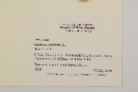 登錄號:S077522藏品圖，第2張