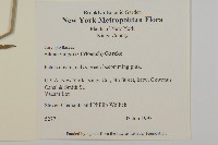 登錄號:S077541藏品圖，第2張