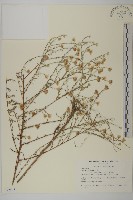 登錄號:S077543藏品圖，第1張