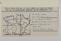雀舌草藏品圖，第2張