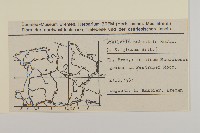 沼繁縷藏品圖，第2張