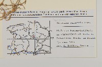 沼繁縷藏品圖，第2張