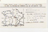 蘿蔔、夢卜藏品圖，第2張