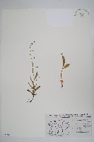 登錄號:S077597藏品圖，第1張