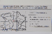 五福花藏品圖，第2張