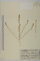 登錄號:S077637藏品圖，第1張