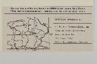 大爪草藏品圖，第2張