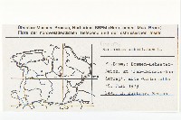 山柳菊藏品圖，第2張