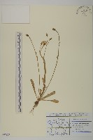 登錄號:S077677藏品圖，第1張