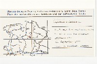 柱毛獨行菜藏品圖，第2張