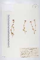 登錄號:S077680藏品圖，第1張