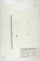 登錄號:S077681藏品圖，第1張