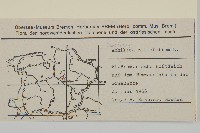 洋蓍草、千葉蓍藏品圖，第2張