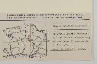 加拿大蓬藏品圖，第2張