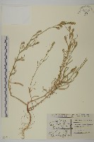 登錄號:S077712藏品圖，第1張