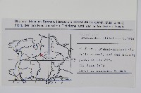 北美莧藏品圖，第2張