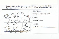 臭濱芥、臭薺藏品圖，第2張