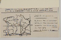 細葉山艾藏品圖，第2張