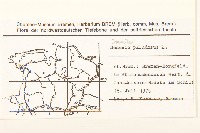 沼生千里光藏品圖，第2張