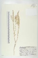 登錄號:S077728藏品圖，第1張