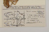 登錄號:S077734藏品圖，第2張