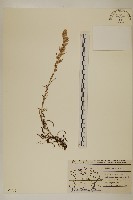 登錄號:S077736藏品圖，第1張